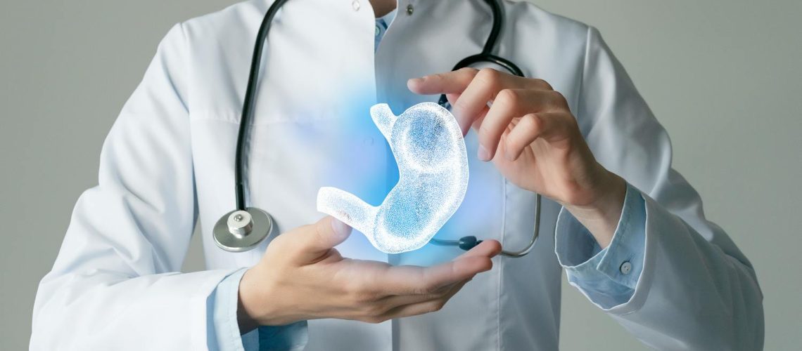 Quel est le rôle de l'estomac dans la digestion ?